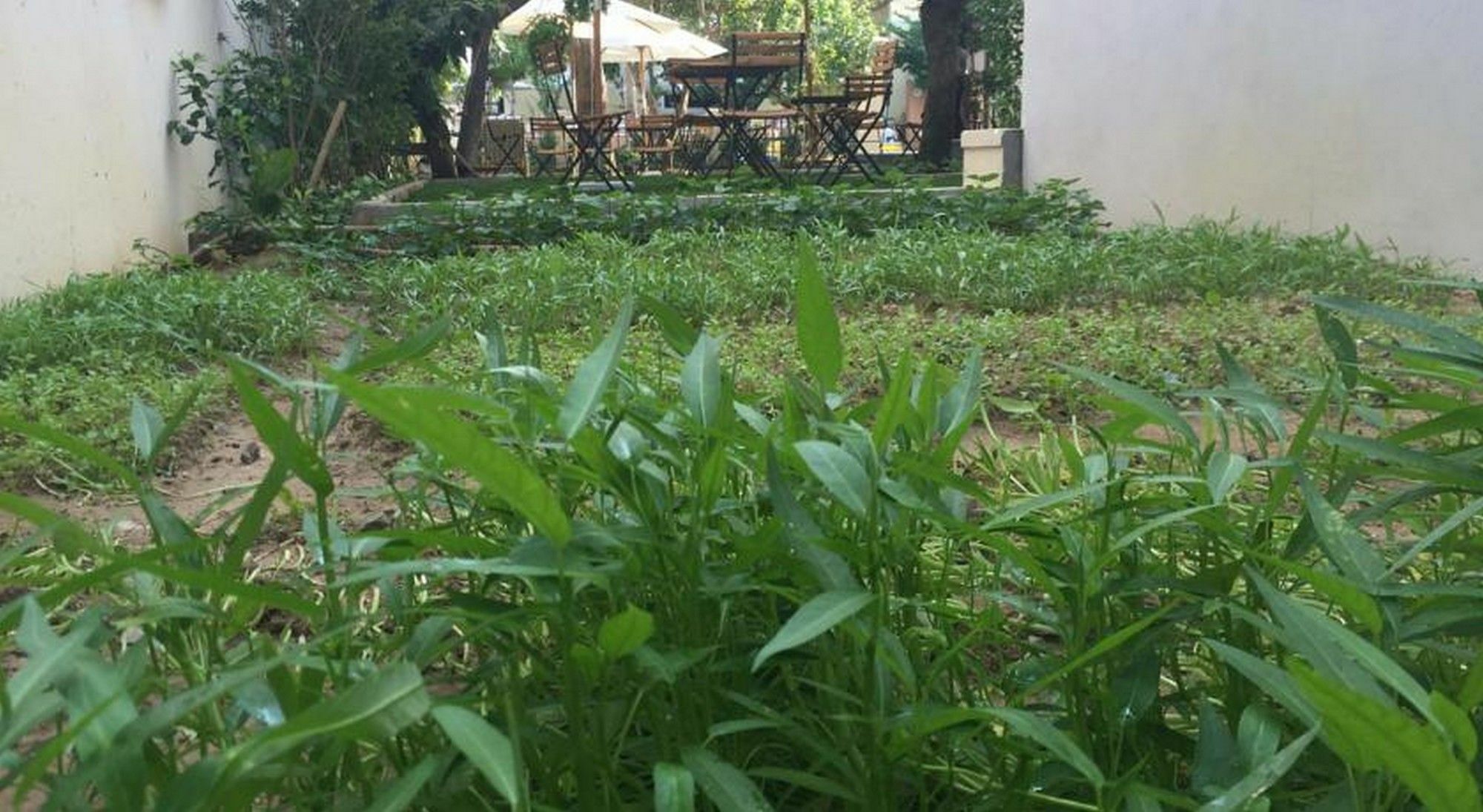 Heritage Homestay Hội An Extérieur photo